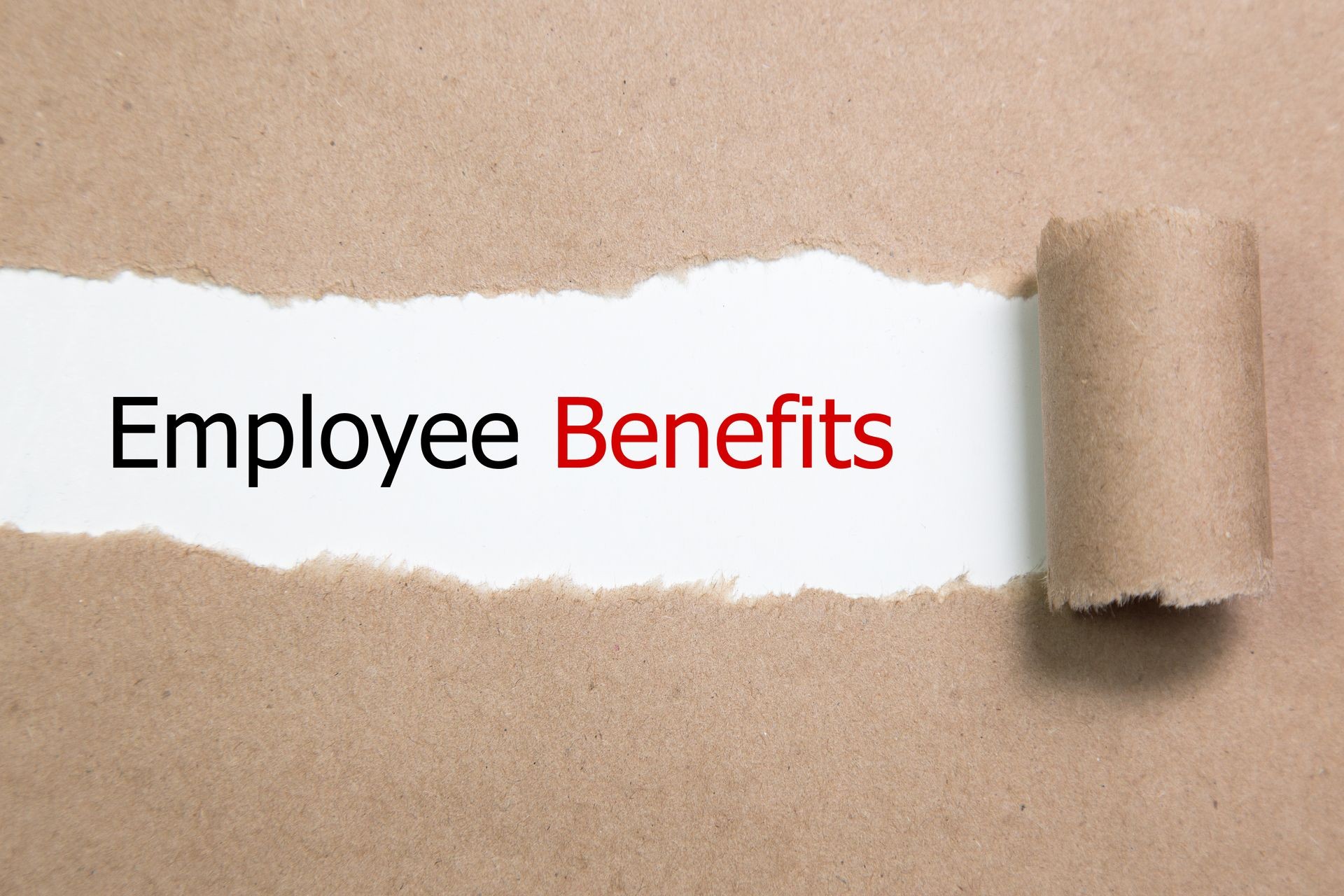 Employee Benefits - Employee Handbook